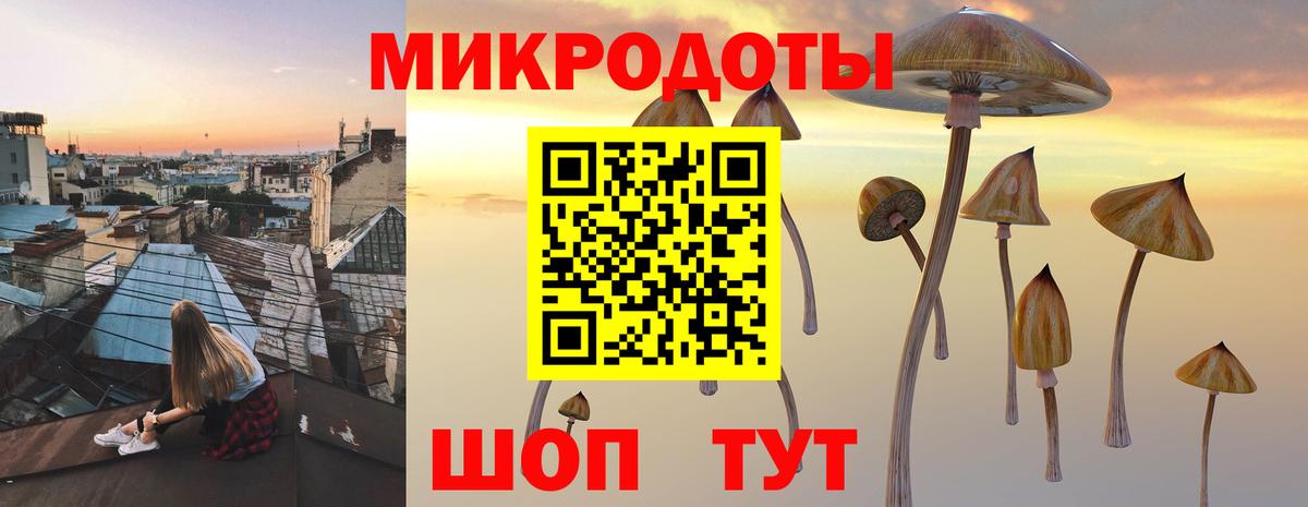 Магнитогорск  Галлюциногенные грибы Psilocybine cubensis  Вход с VPN 